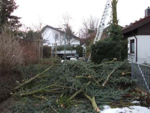 Baumpflege und Baum fällen in Stuttgart