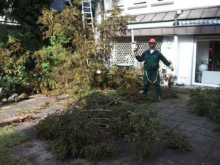 Baumpflege und Baum fällen in Stuttgart